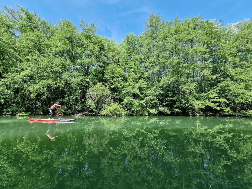 Dans le bras mort de l'Oise qui longe l'île de Vaux.