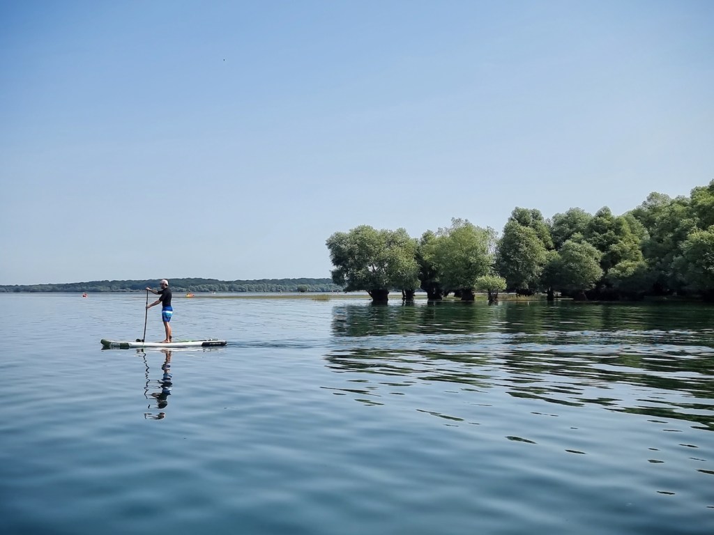 Paddle sur le lac de la forêt d'Orient, près de Troyes